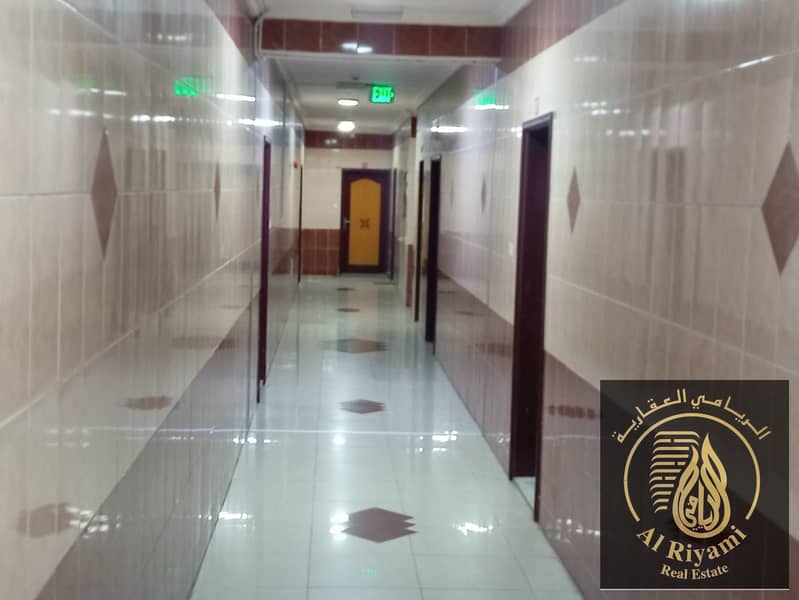 2 WhatsApp Image 2025-03-03 at 02.07. 55_f10c80d3. jpg