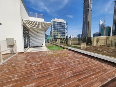 Penthouse Apartments Near Subway Station
