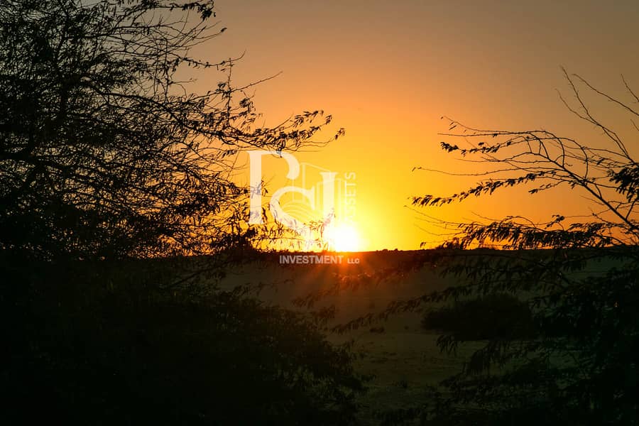 10 al-jurf-garden-abu-dhabi-sunset. jpg