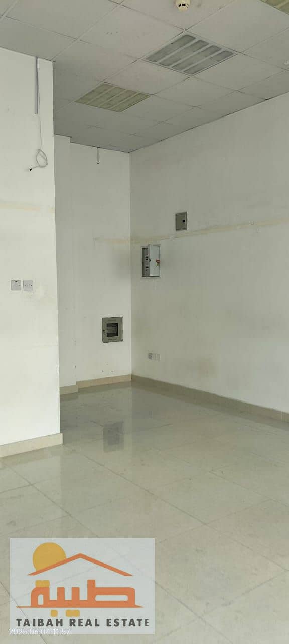 5 WhatsApp Image 2025-03-04 at 12.36. 42 PM. jpeg