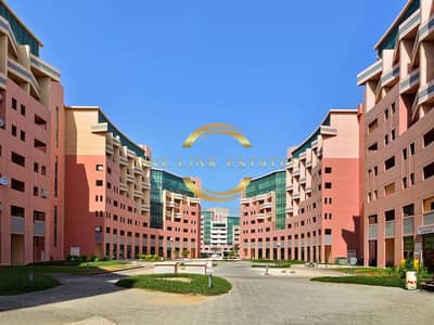 Студия в аренду в Дисковери Гарденс, Дубай - WhatsApp Image 2025-03-05 at 14.32. 49. jpeg
