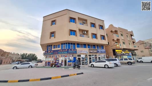 11 Bedroom Building for Sale in Al Rawda, Ajman - WhatsApp Image 2025-02-12 at 6.30. 13 PM (1). jpeg