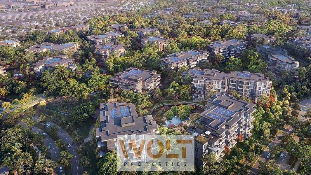 4 Ghaf-Wood-Dubailand-09. jpg