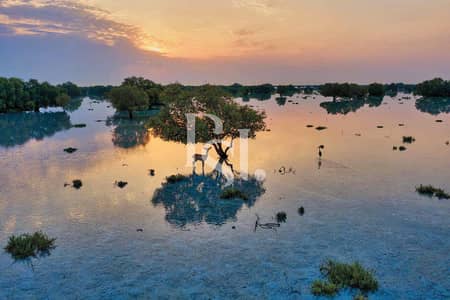 Plot for Sale in Al Jubail Island, Abu Dhabi - Jubail-Island-Abu-Dhabi-UAE (6). jpg