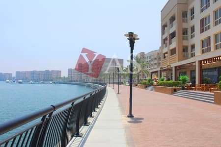 2 Bedroom Apartment for Sale in Mina Al Arab, Ras Al Khaimah - BEST Price- Amazing Sea View 2 Bed Apartment For Sale in Mina Al Arab 2 Bedroom Apartment for Sale in Mina Al Arab, Ras Al Khaimah - BEST Price- Amazing Sea View 2 Bed Apartment For Sale in Mina Al Arab