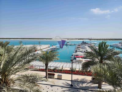 2 Bedroom Apartment for Rent in Saadiyat Island, Abu Dhabi - 1000078895. jpg