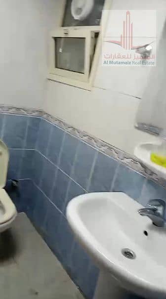 5 5. jpg
