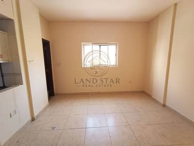 Luxury Studio Apartment Big Size prime location