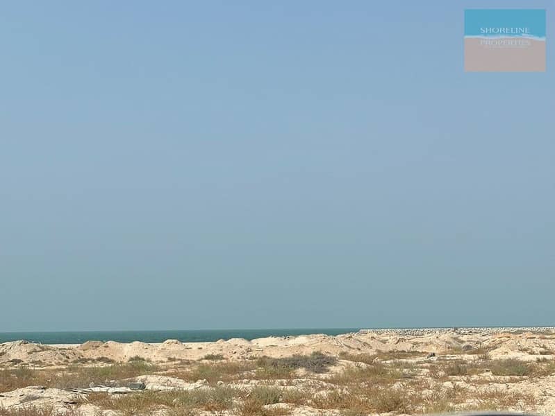 8 Marjan (3). jpeg