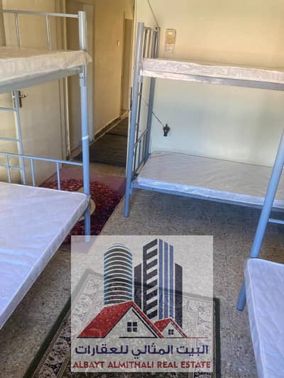 2 Bedroom Apartment for Rent in Al Nakhil, Ajman - IMG-20250310-WA0126. jpg