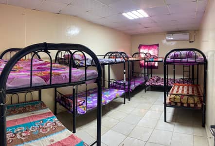 Labour Camp for Rent in Mussafah, Abu Dhabi - WhatsApp Image 2024-01-25 at 10.56. 23 AM (4). jpeg