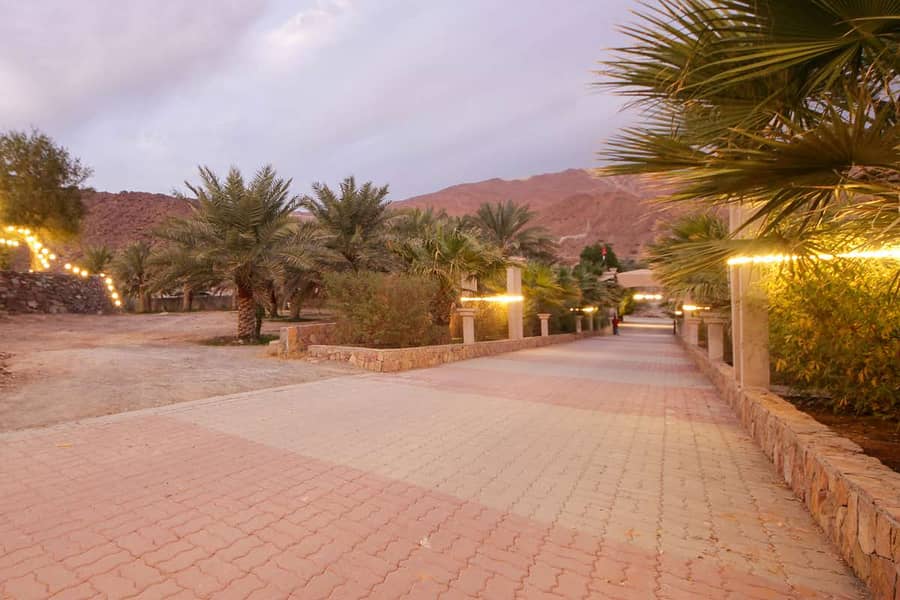 3 Wadi Al Hellow Farm House_Page_56. jpg