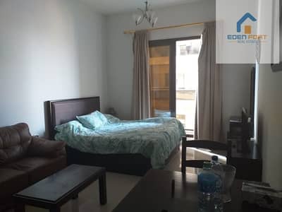 Beautiful Fully Furnished Studio for Rent in Elite 10 Beautiful Fully Furnished Studio for Rent in Elite 10