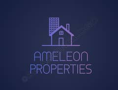 Ameleon Properties