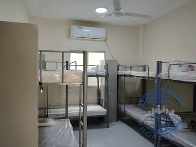 Labour Camp for Rent in Al Jurf, Ajman - WhatsApp Image 2024-01-05 at 15.35. 04_21e917f2. jpg