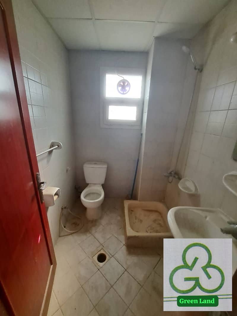 5 52bfa961-fa24-4690-a299-095d1a16baac. jpeg