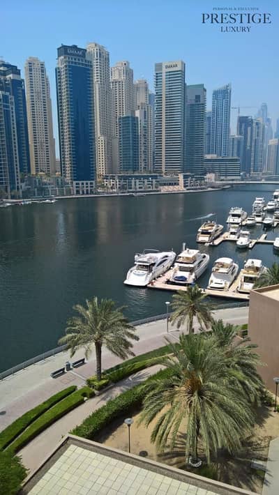 1 Bedroom Flat for Rent in Dubai Marina, Dubai - WhatsApp Image 2025-03-15 at 10.59. 56 AM. jpeg