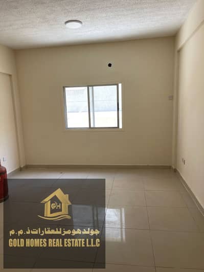 1 Bedroom Flat for Rent in Al Alia, Ajman - WhatsApp Image 2025-02-25 at 5.45. 55 PM. jpeg