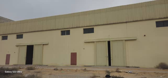 Warehouse for Rent in Emirates Modern Industrial Area, Umm Al Quwain - صورة واتساب بتاريخ 2025-03-09 في 13.17. 31_bf09ef2b. jpg