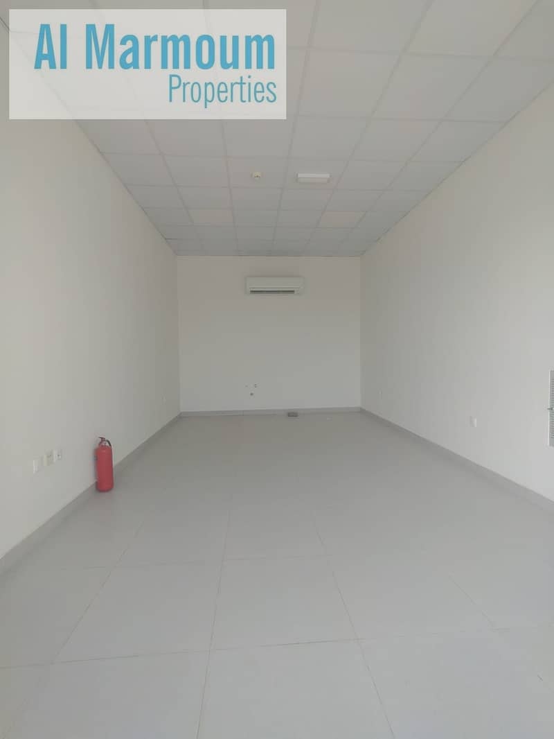 3 WhatsApp Image 2025-03-17 at 3.50. 32 PM. jpeg