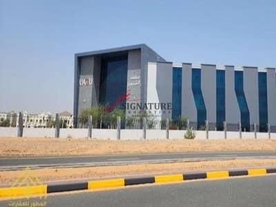 Plot for Sale in Al Salam City, Umm Al Quwain - 0c2387d0-1d23-11ef-9adb-7e725355af80. jpg