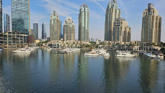 3 Bedroom Flat for Rent in Dubai Marina, Dubai - WhatsApp Image 2025-02-11 at 21.05. 23 (1). jpeg