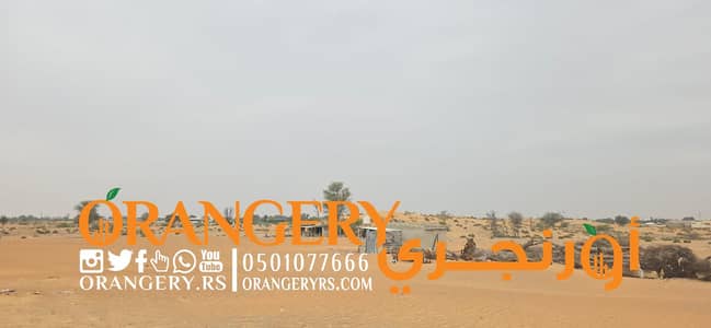 Plot for Sale in Falaj Al Mualla, Umm Al Quwain - WhatsApp Image 2025-03-19 at 00.44. 24_4d682428. jpg