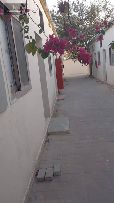Labour Camp for Rent in Al Sajaa, Sharjah - WhatsApp Image 2025-03-19 at 3.02. 08 PM. jpeg
