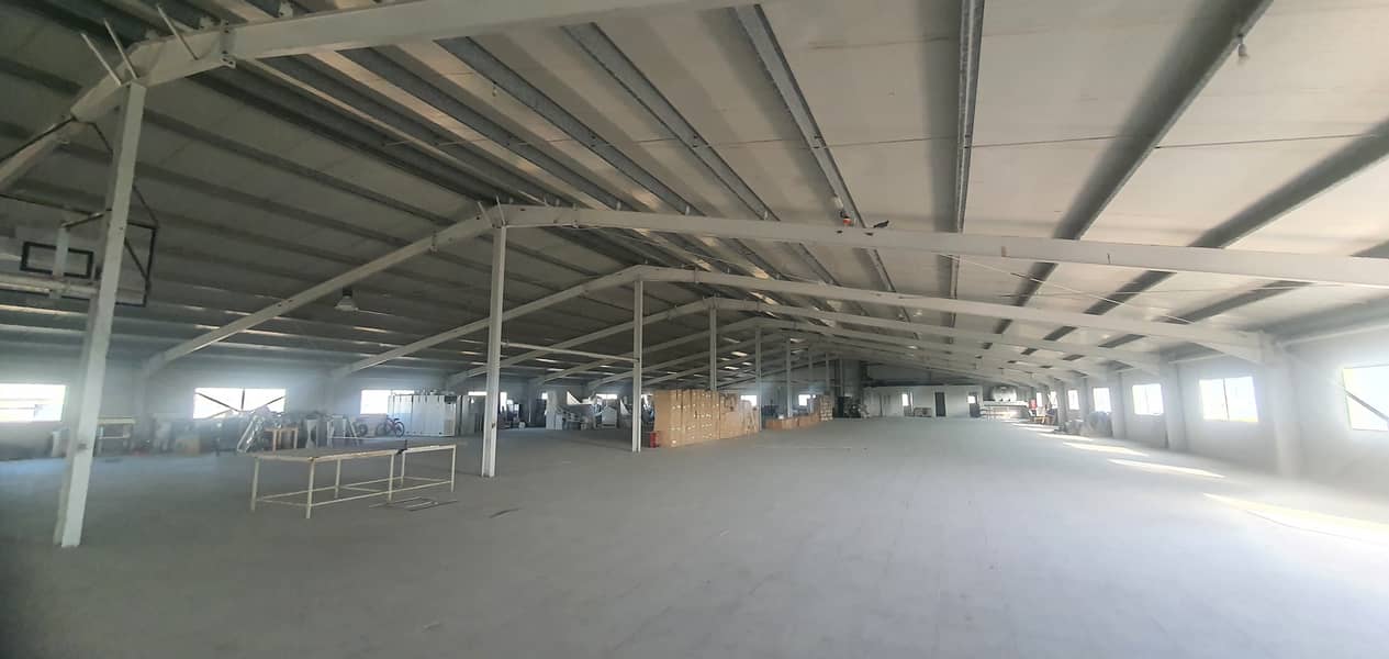 6 20250129_162420. jpg