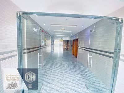 2 Bedroom Apartment for Rent in Al Rawda, Ajman - IMG-20250320-WA0270. jpg