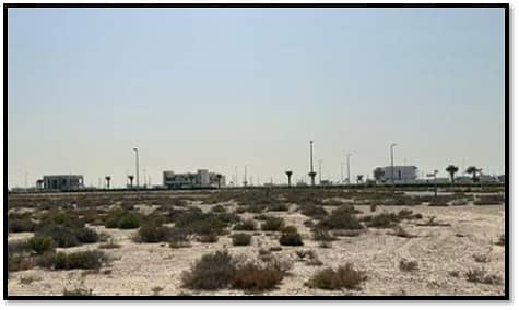 4 Picture 2. jpg