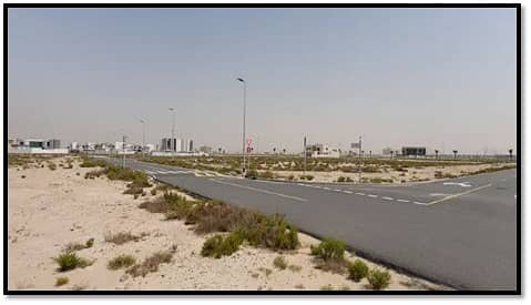 5 Picture5. jpg