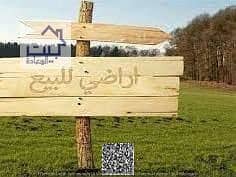 5 IMG-20250212-WA0007. jpg