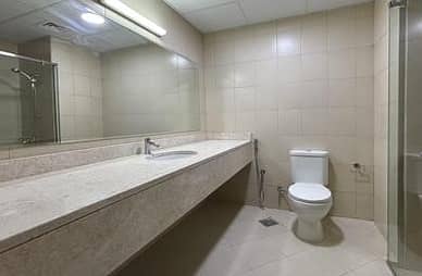 8 IMG_0241. jpg