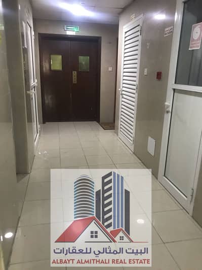 阿尔努艾米亚， 阿治曼 单身公寓待租 - WhatsApp Image 2025-03-22 at 2.02. 48 PM. jpeg