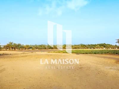 Plot for Sale in Zayed City, Abu Dhabi - 757971921-800x600. jpg