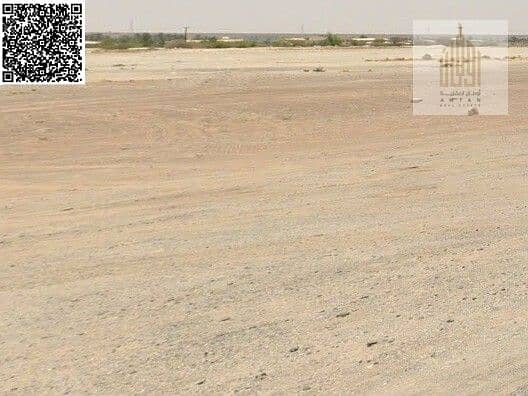 2 المنامة 13.0. jpg