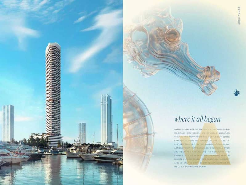 8 Coral Reef-brochure_Page_14_Image_0001. jpg