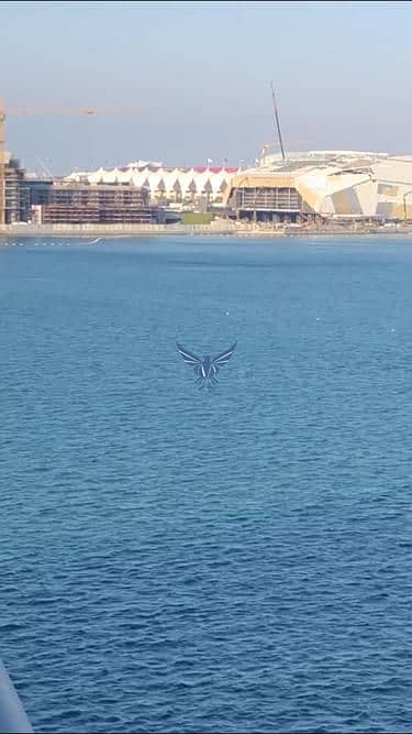 阿拉哈海滩， 阿布扎比 1 卧室公寓待租 - WhatsApp Image 2025-03-27 at 12.58. 42 PM. jpeg