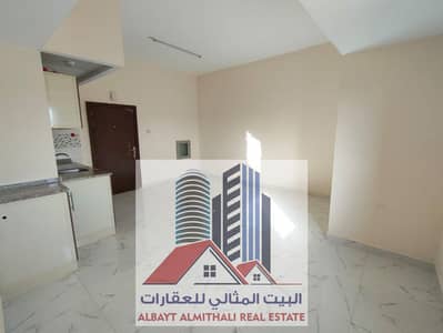 Studio for Rent in Al Nuaimiya, Ajman - IMG-20250327-WA0169. jpg
