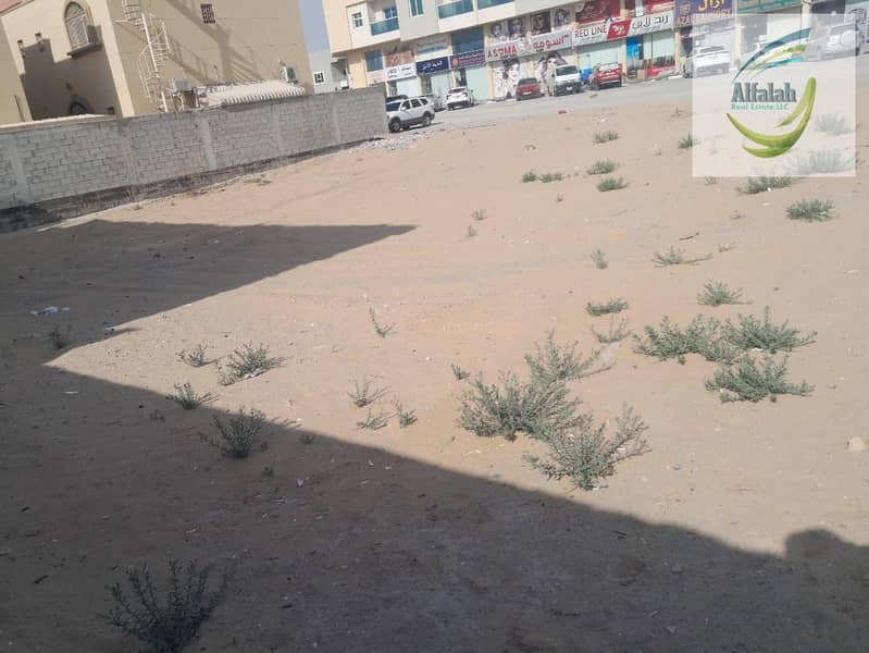 2 WhatsApp Image 2025-03-23 at 19.25. 29. jpeg