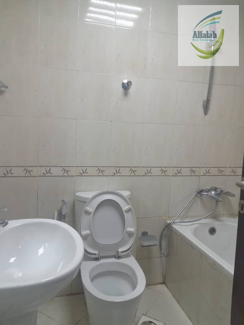 11 WhatsApp Image 2025-03-27 at 19.21. 16. jpeg