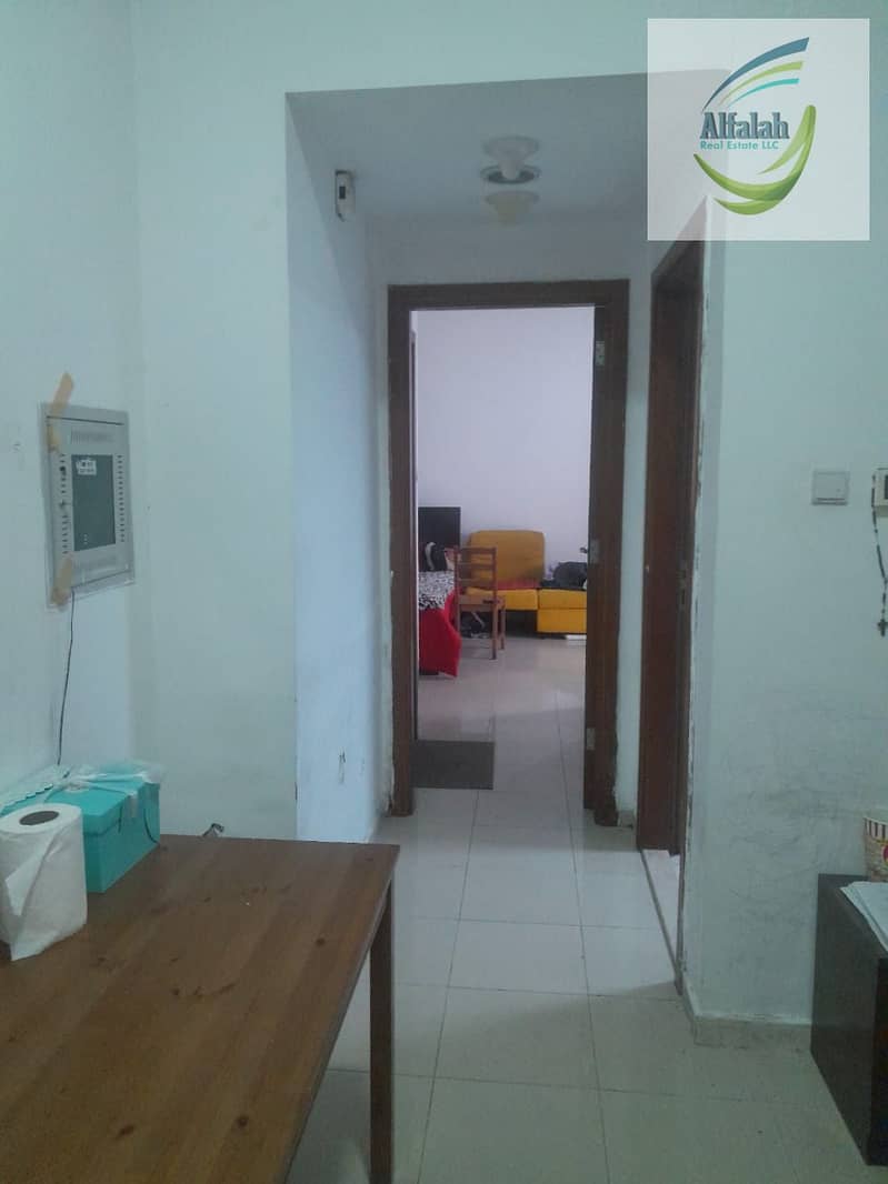 15 WhatsApp Image 2025-03-02 at 14.25. 19. jpeg