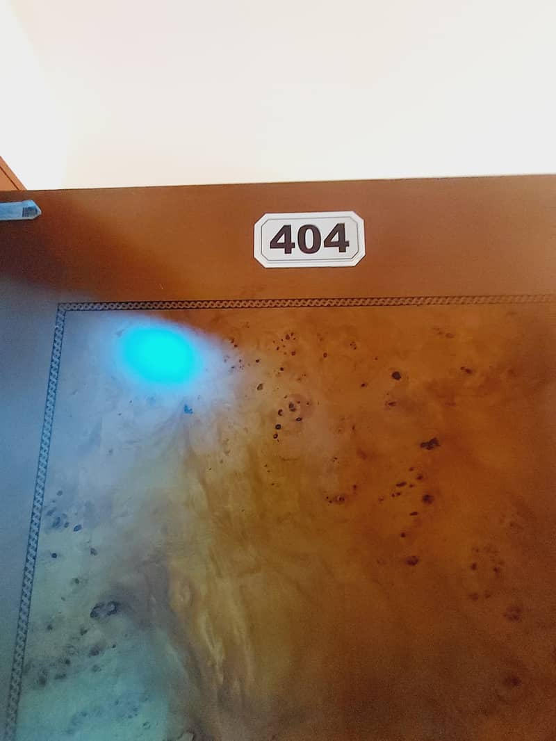 25 20250130_161732. jpg