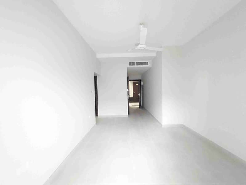 5 20250210_174344. jpg