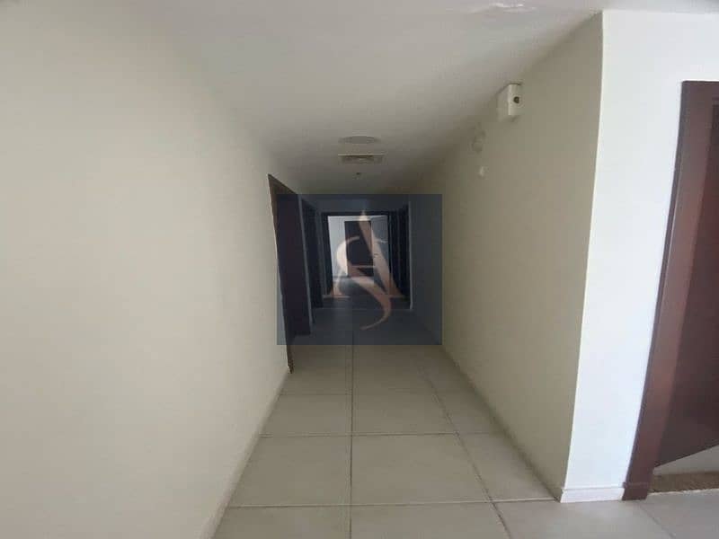 13 P19. jpg