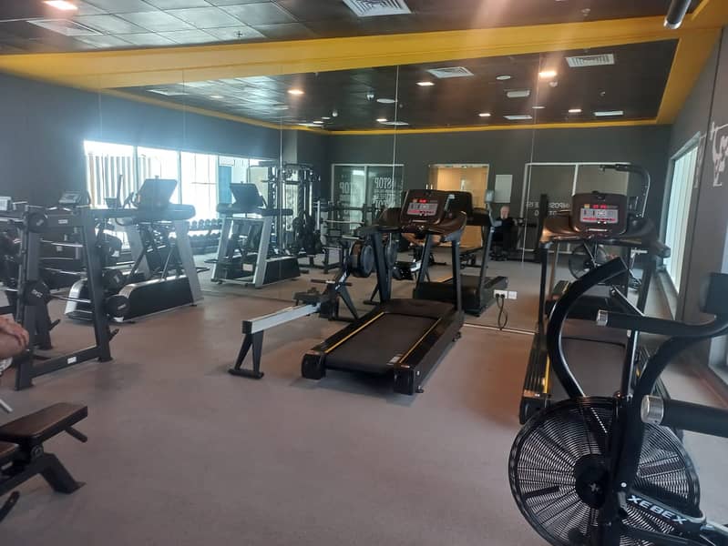13 GYM_1. jpg