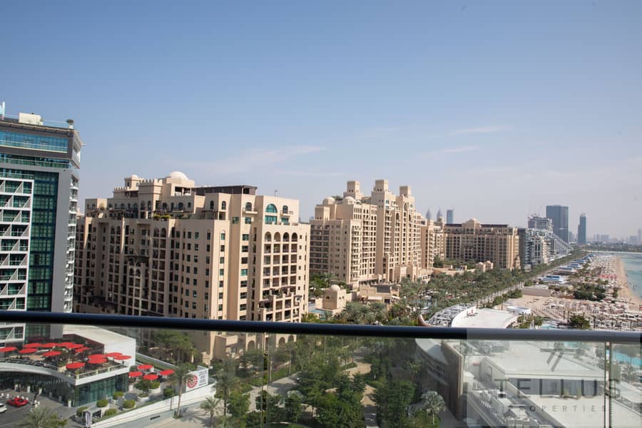 2 _Y8A7988. jpg
