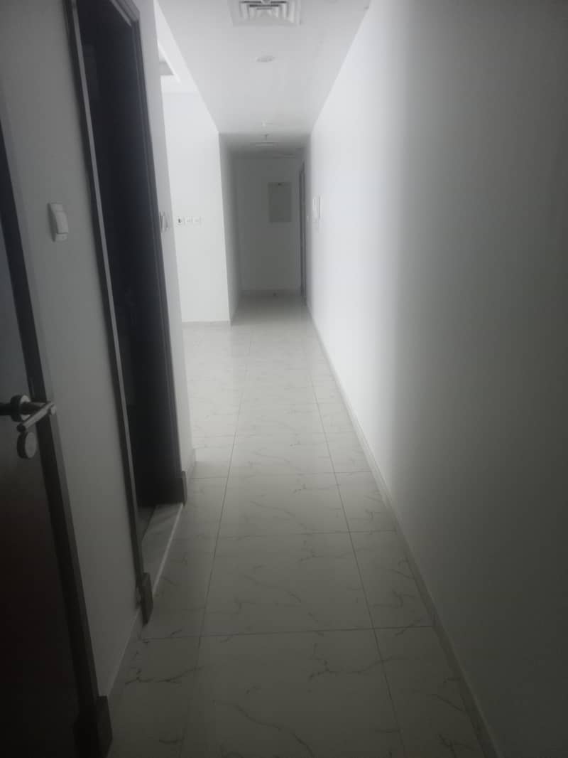 10 20250326_114707. jpg
