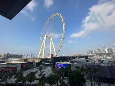 蓝水湾岛， 迪拜 2 卧室公寓待租 - WhatsApp Image 2024-10-28 at 17.38. 00. jpeg